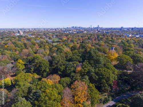 Mount Auburn Cemetery and Boston skyline in fall, Watertown, Greater Boston Area, Massachusetts, USA.