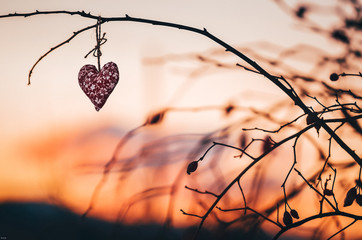 Wooden handmade heart in winter nature wit colorful pleasure colors of sunset light - valentine love wallpaper with space for your montage