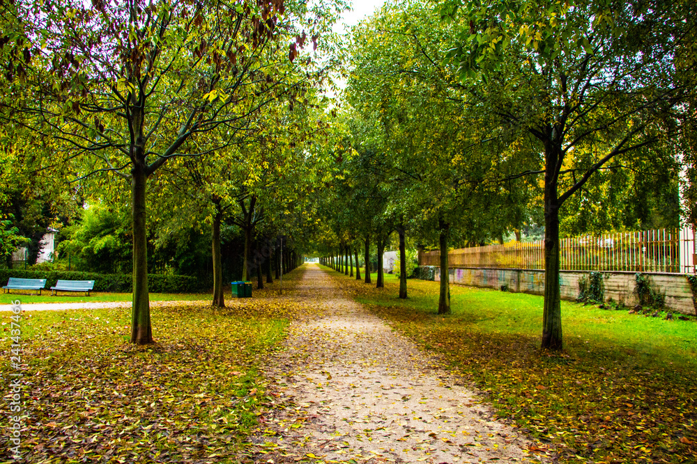 autumn in the park Niguarda centro