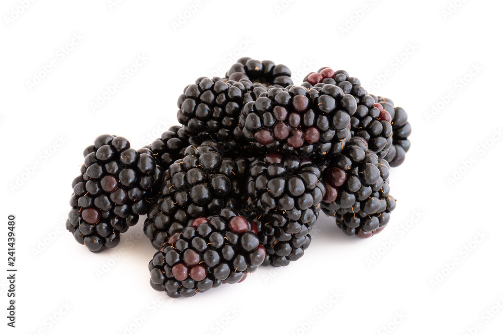 lot of blackberries isolated on white background lot of blackberries isolated on white background