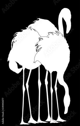 group of three flamingo silhouettes on black