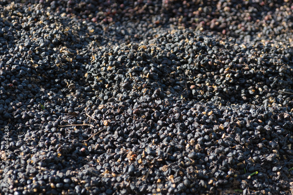 shell of the coffee beans shell of the coffee beans