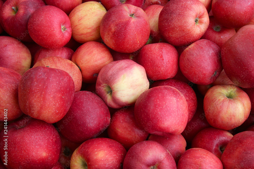 Red apples on black background. Many red apples. Red apples on black background. Many red apples.