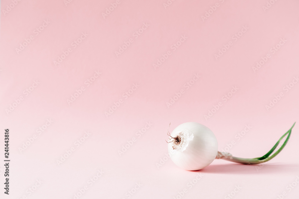 White sprouted onions on pastel pink background. copy space