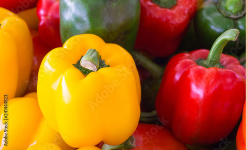 Fresh organic green yellow and red bell pepper from  vegetable farm capsicum  sweet pepper husk of paprica chilli spicy colorful vegetarian food