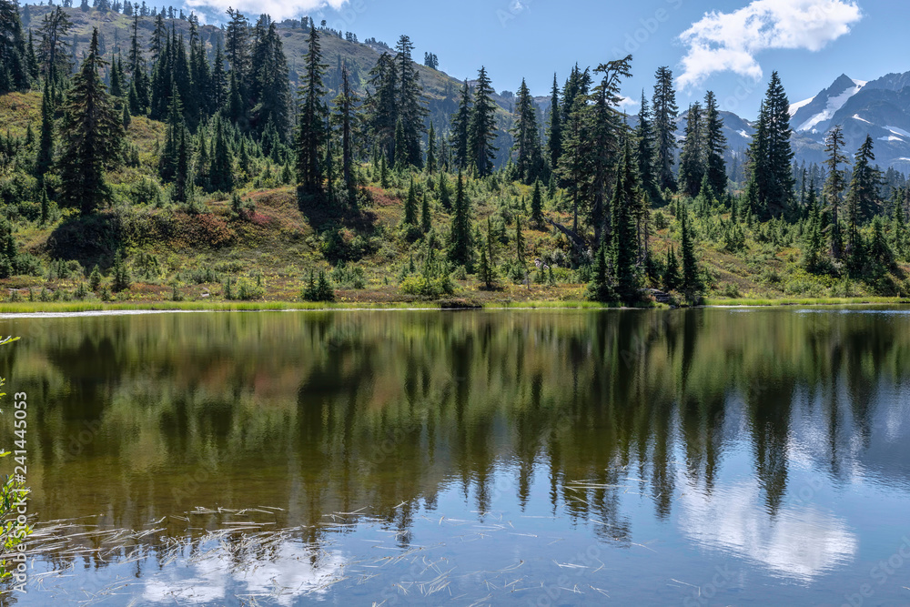 lake in forest lake in forest