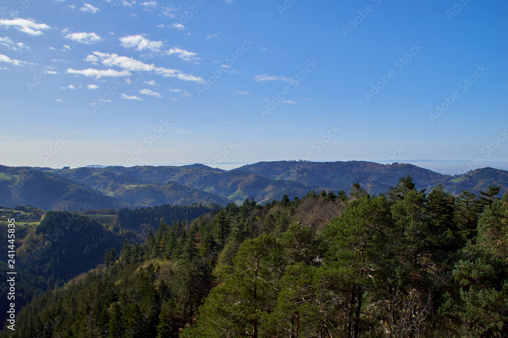 schwarzwald panorama