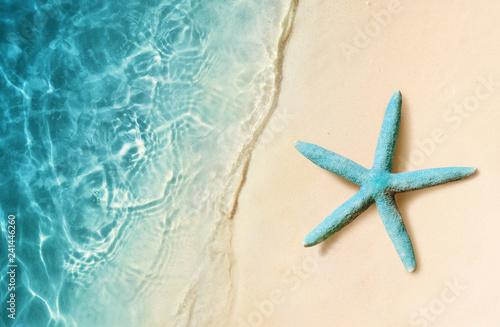 Starfish on the sand beach and ocean as background. Summer beach. © Belight