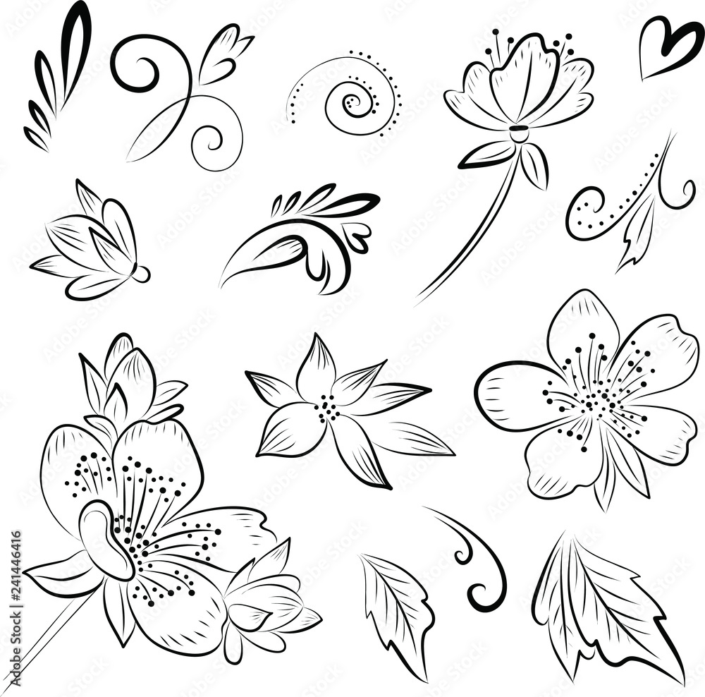 graphic vector drawing flowers leaves and curls on a white background