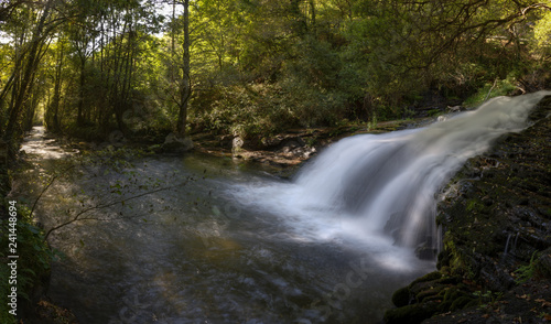 Waterfall and channel of a river between deciduous forests