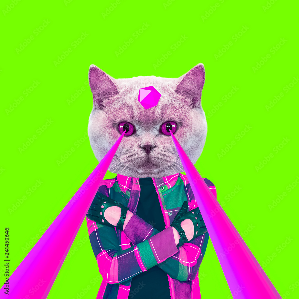 Fototapeta Modny kot Cat z laserami z oczu. Sztuka kolażu ze zwierzętami