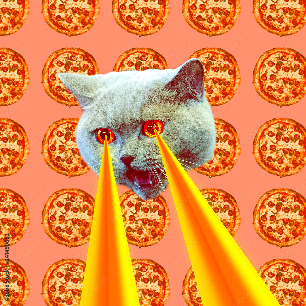 Fototapeta Uzależniony od pizzy Kot z laserami z oczu. Kolaż sztuki zabawy zwierząt