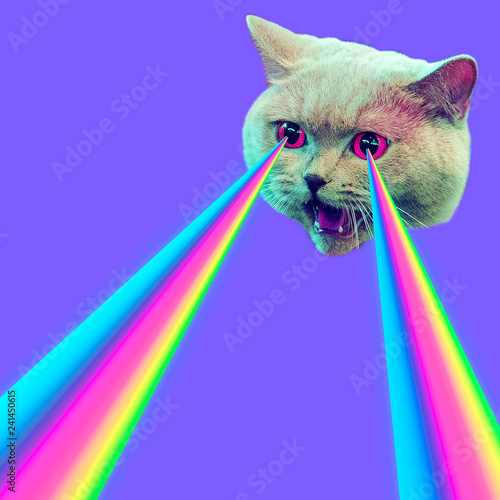 Fototapeta Zły kot z tęczowymi laserami z oczu. Koncepcja mody minimalnej kolażu