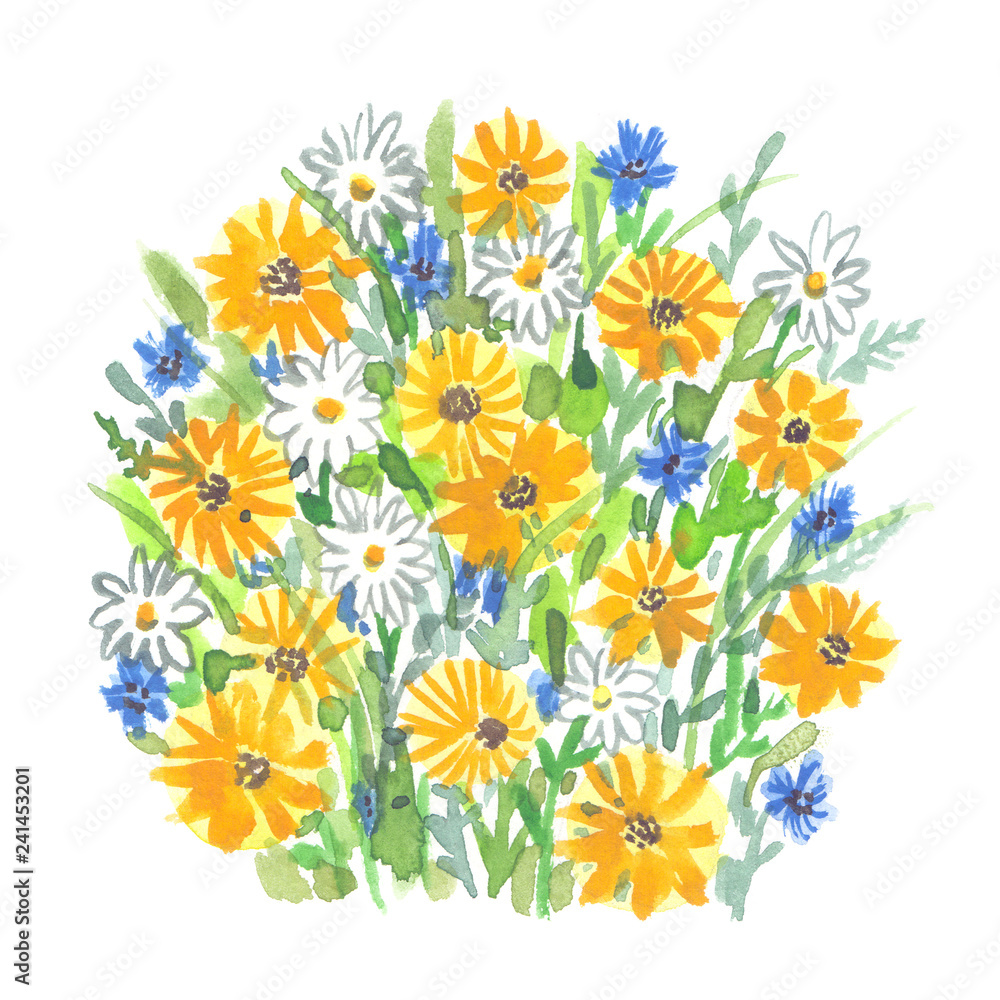 Bunch of wild field flowers painted in watercolor on clean white background