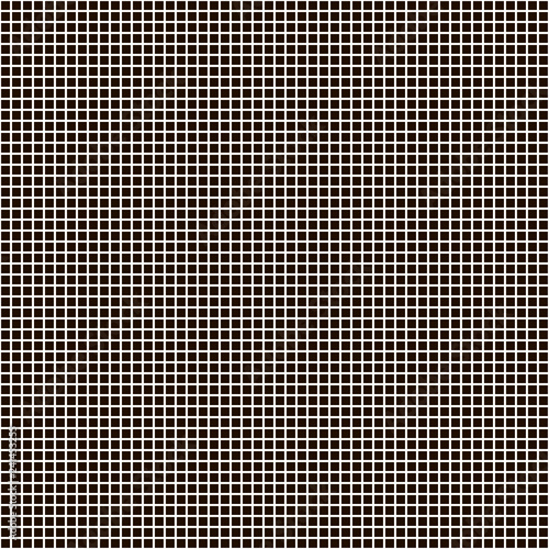 black and white network.cells of geometric texture.