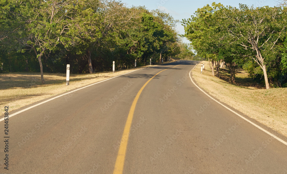 Empty country road