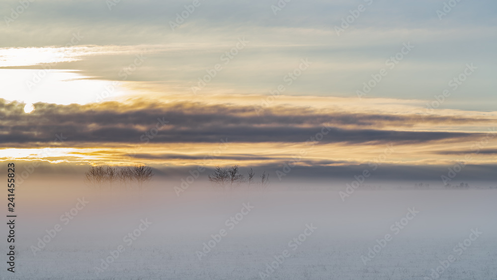 The setting sun through the fog, over the snow-covered field.