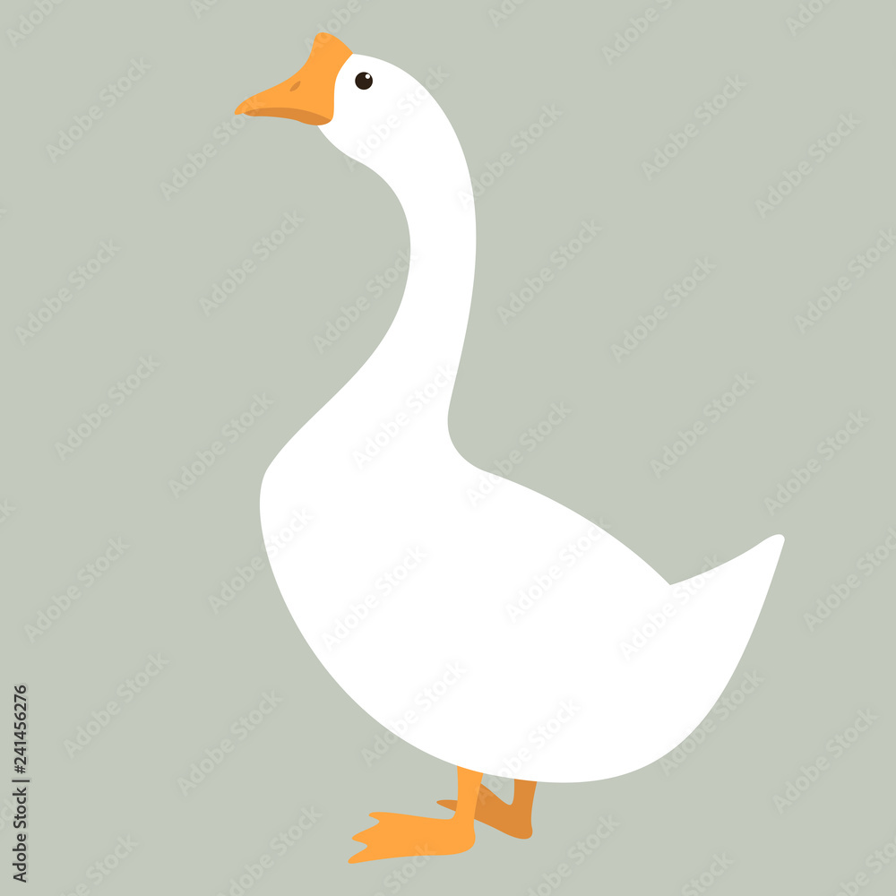 goose vector illustration , flat style , profile goose vector illustration , flat style , profile