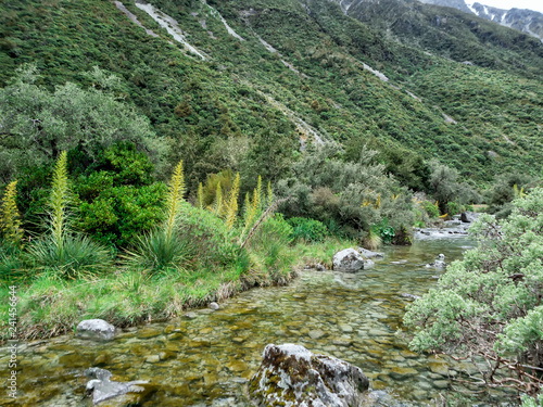 Tasman Glacier Track at Aoraki, Mount Cook, New Zealand, South Island, NZ photo