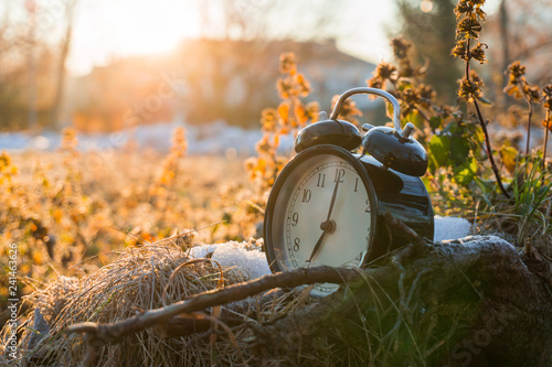 MORNING ALARM CLOCK IN A COLD ICY GRASS WITH SUNRISE