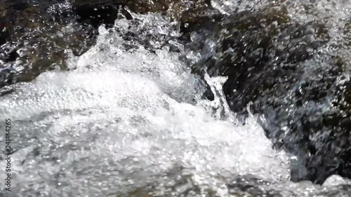 Wallpaper Mural 水の流れ（長良川-岐阜県郡上市）スローモーション Torontodigital.ca