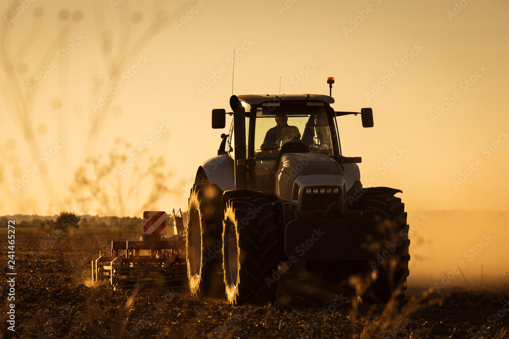 Fototapeta premium Modern tractor plowing at the sunset with lot of dust in background