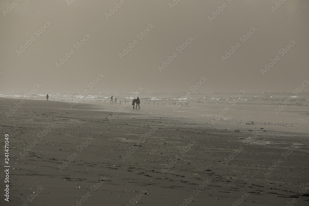Winter beach Normandy France Le touquet