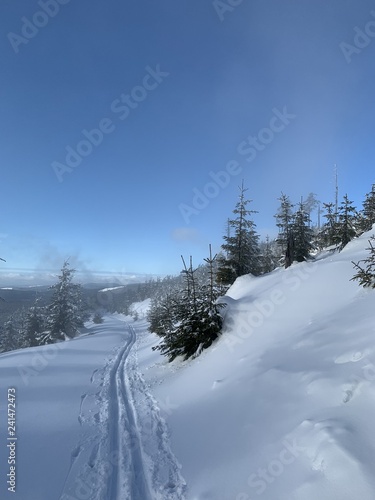 winter landscape scenery with cross country skiing way