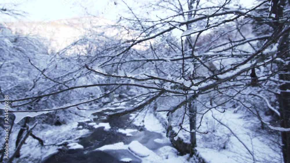 Frozen branches and mountain river in winter. Handheld footage Frozen branches and mountain river in winter. Handheld footage