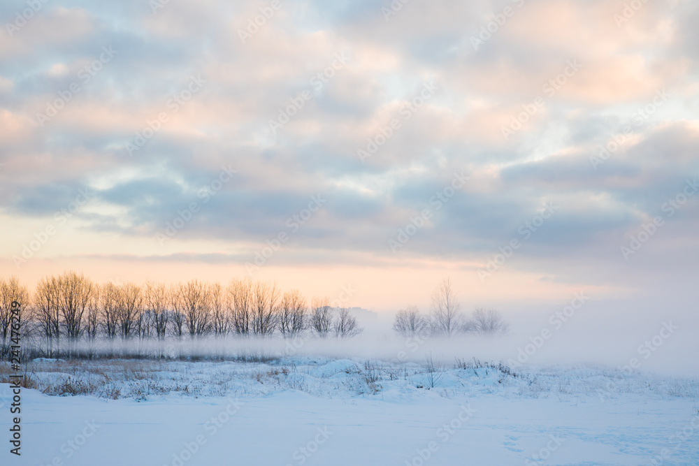 The winter landscape of snowy field or wasteland with the trees hiden by the mist or fog in the rays of sunrise or sunset The winter landscape of snowy field or wasteland with the trees hiden by the mist or fog in the rays of sunrise or sunset