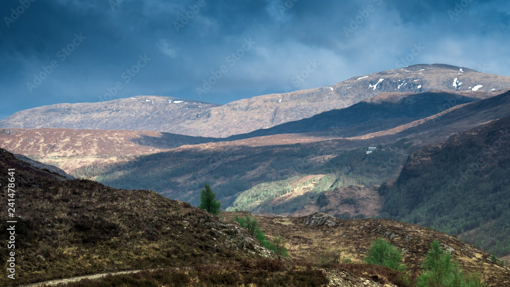 Fototapeta premium OLYMPUS DIGITAL CAMERA