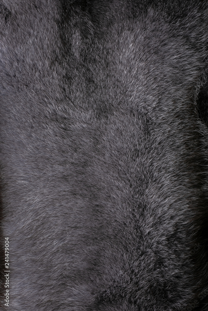 Fototapeta premium Natural fur for texture or background. Luxury and elegant fluffy clothes.