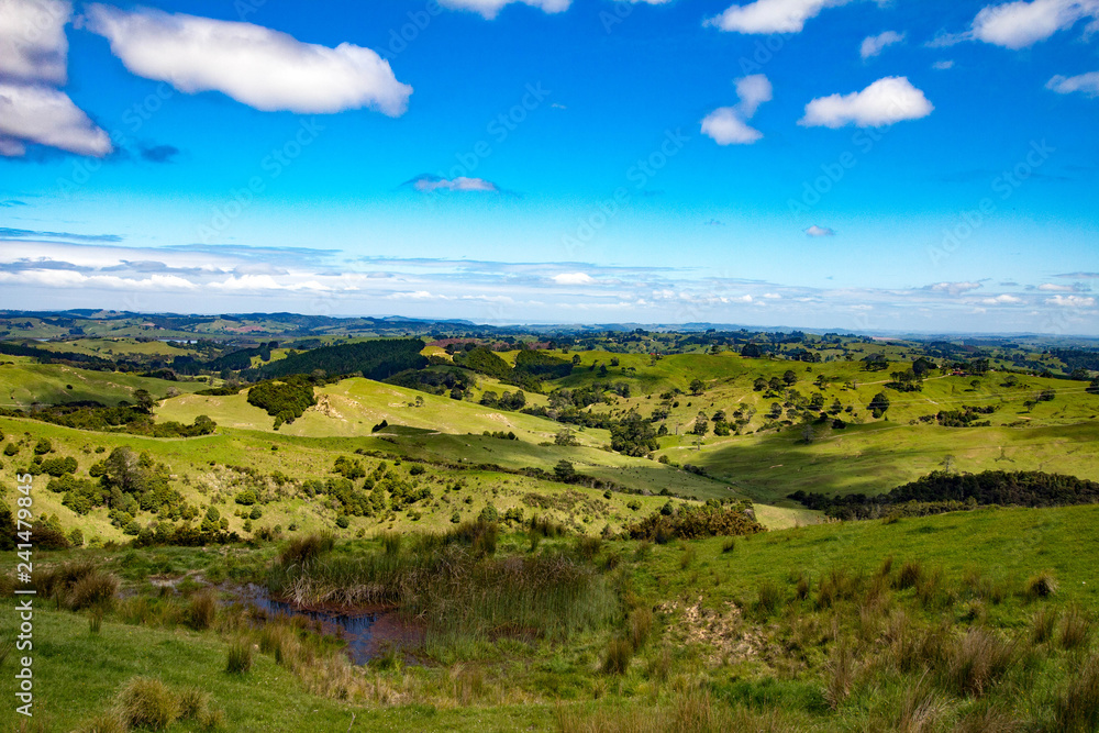Fototapeta premium Scenic Views Of New Zealand