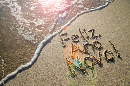 Sticker Portuguese Feliz Ano Novo (Happy New Year) message handwritten in textured lette