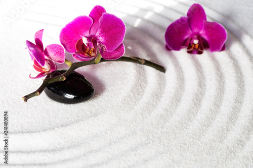 Fototapeta Naklejka Na Ścianę i Meble -  Purple orchids