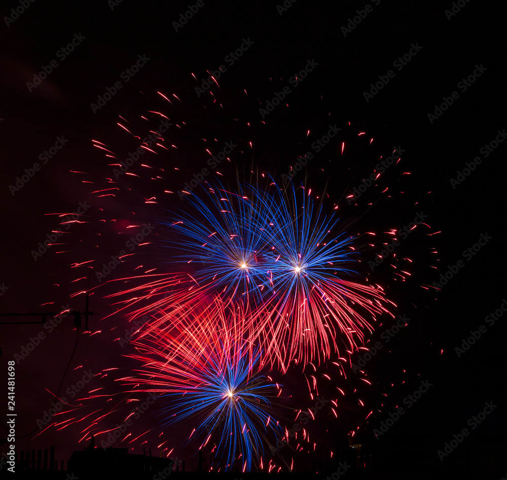 Fototapeta premium The Firework on the black Sky in the Detail