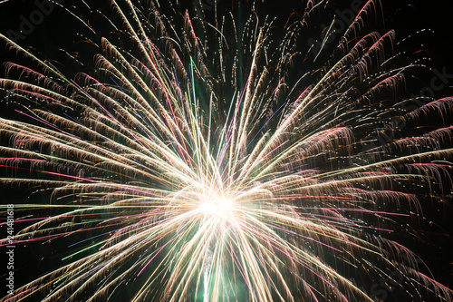 The Firework on the black Sky in the Detail