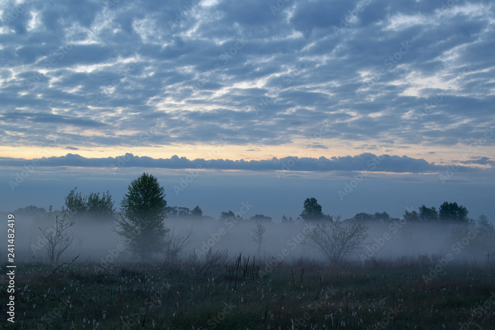 Fototapeta premium Misty morning over the meadow