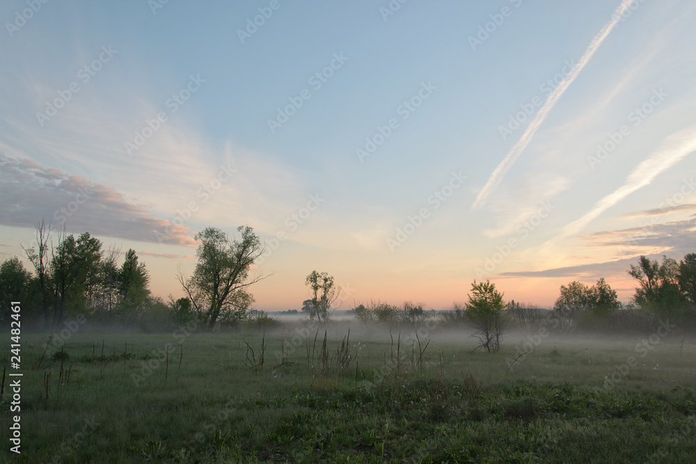 Fototapeta premium Misty morning over the meadow