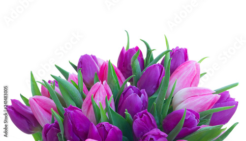 Pink fresh tulips © neirfy