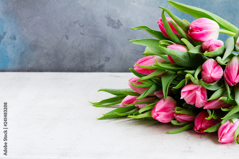 Fototapeta Różowe świeże tulipany