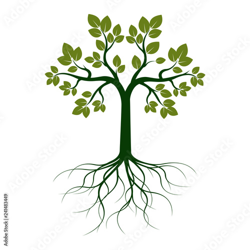Green Tree with Leaves. Vector Illustration.