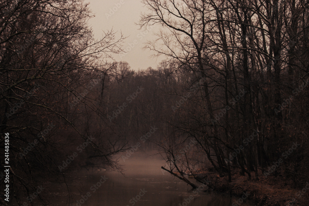 Foggy creek bottom Foggy creek bottom