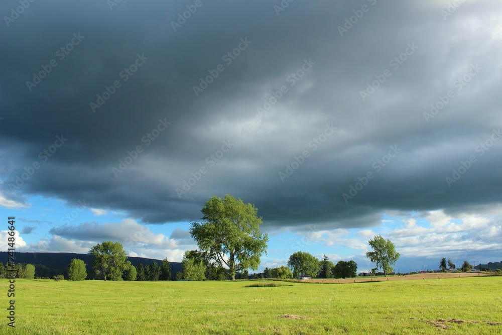 Fototapeta premium Dark clouds over farm
