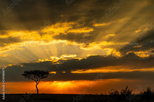 Sunrise on the Masai Mara, Kenya, Africa
