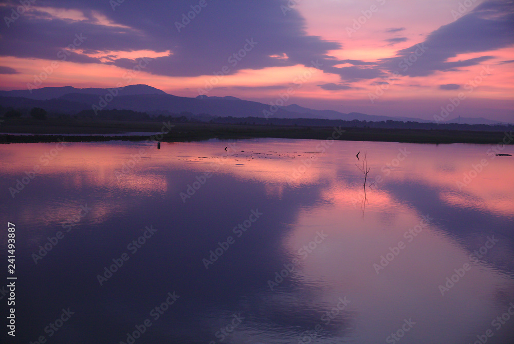 2935 Sunrise with purple sky above Zuari river in Goa