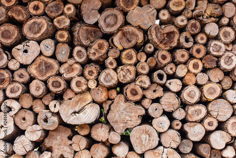 Round teak wood stump background. Round teak wood stump background.
