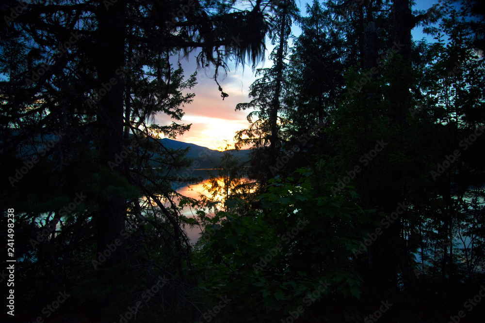 sunset through the trees sunset through the trees