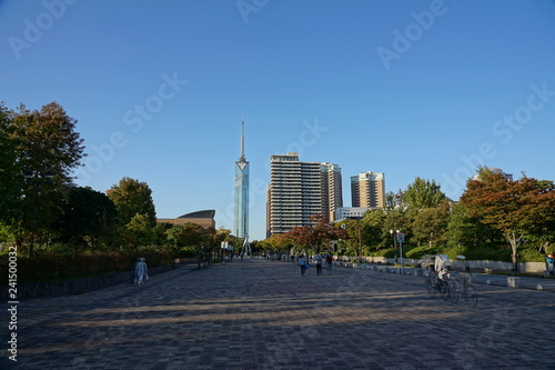 福岡シーサイドももち エリア風景