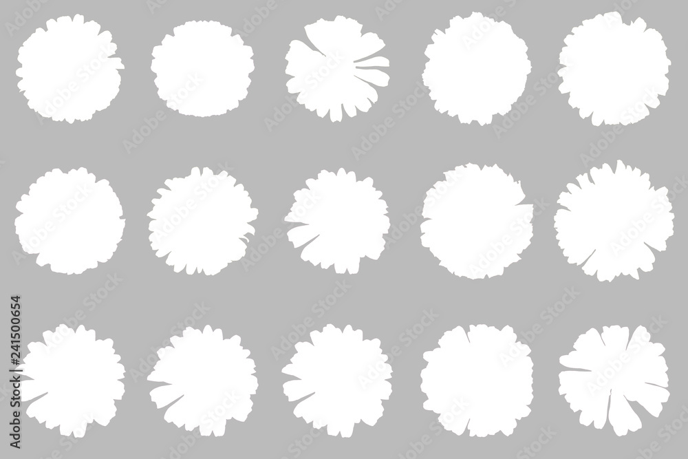 beautiful chrysanthemum flower beautiful chrysanthemum flower